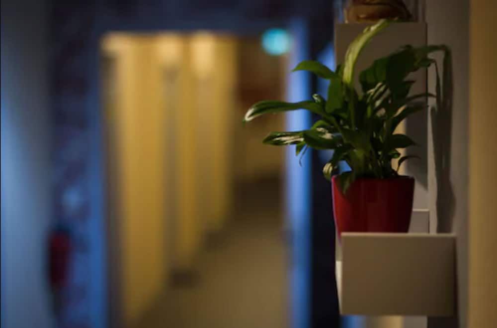 Gaestehaus Kaiserpassage - Hostel.