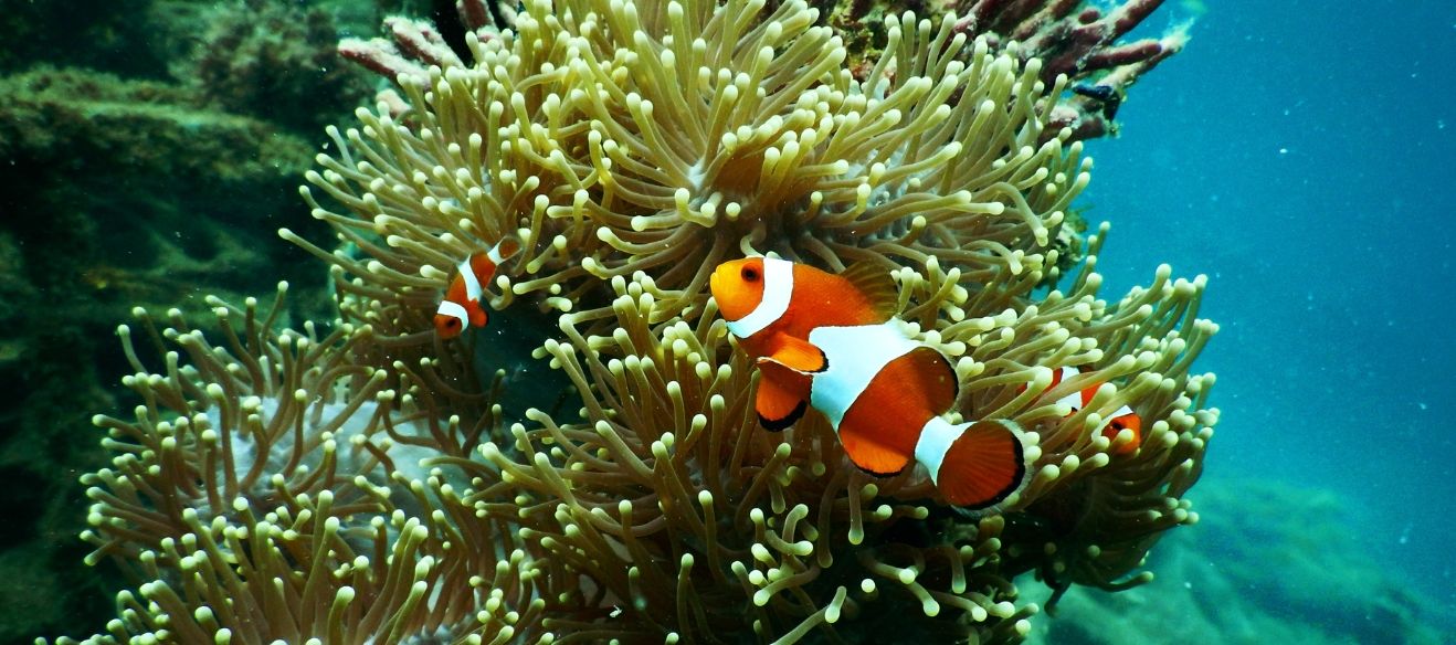SEA LIFE Oberhausen