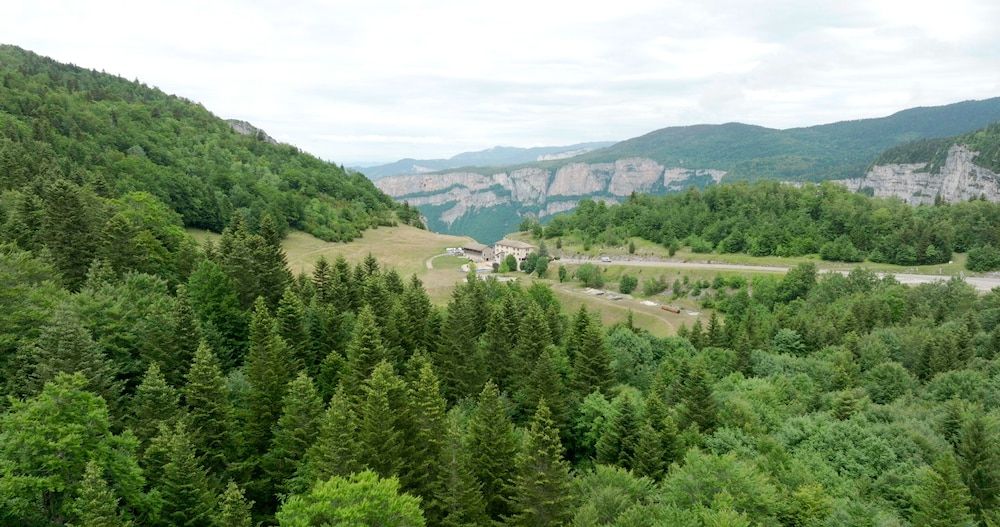 Hostel Quartier Libre