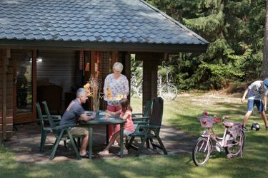 4-person cottage Finse