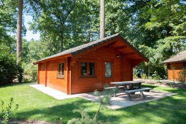 4-persoons vakantiehuis Boekhorst