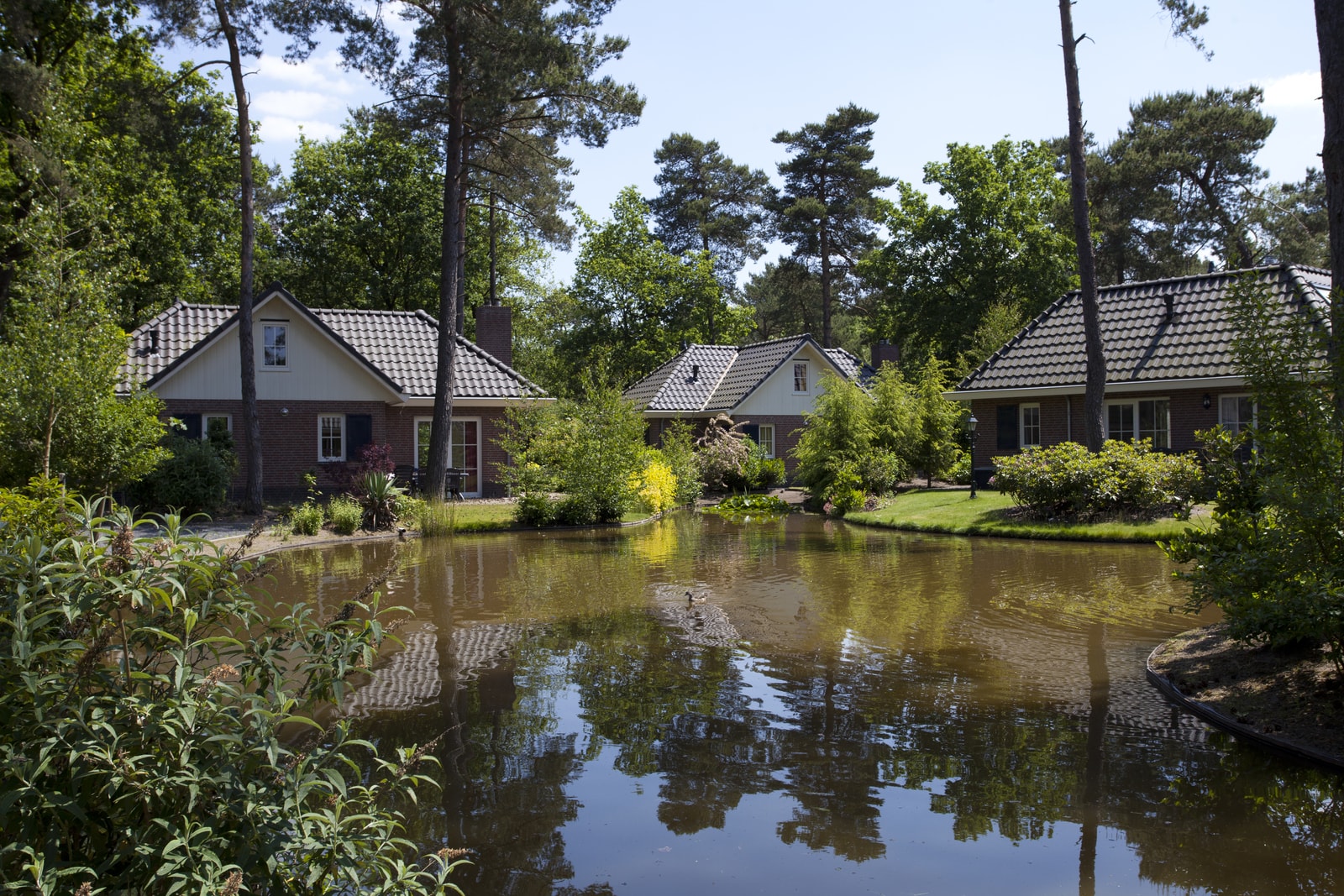 Super bungalow Veluwe 🏕️ Droompark Beekbergen