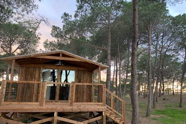4-persoons Chalet Panoramik Cottage - 2 bedrooms