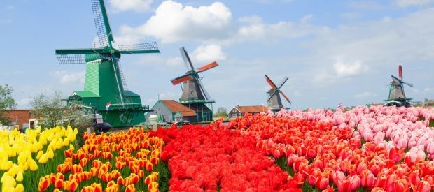 Lisse
