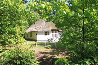 4-person cottage Stuif Hoeve 4