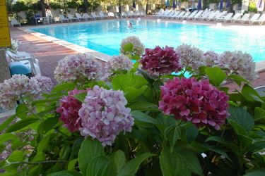 6-persoons bungalow Well-kept chalet with covered veranda on Lake Trasimeno