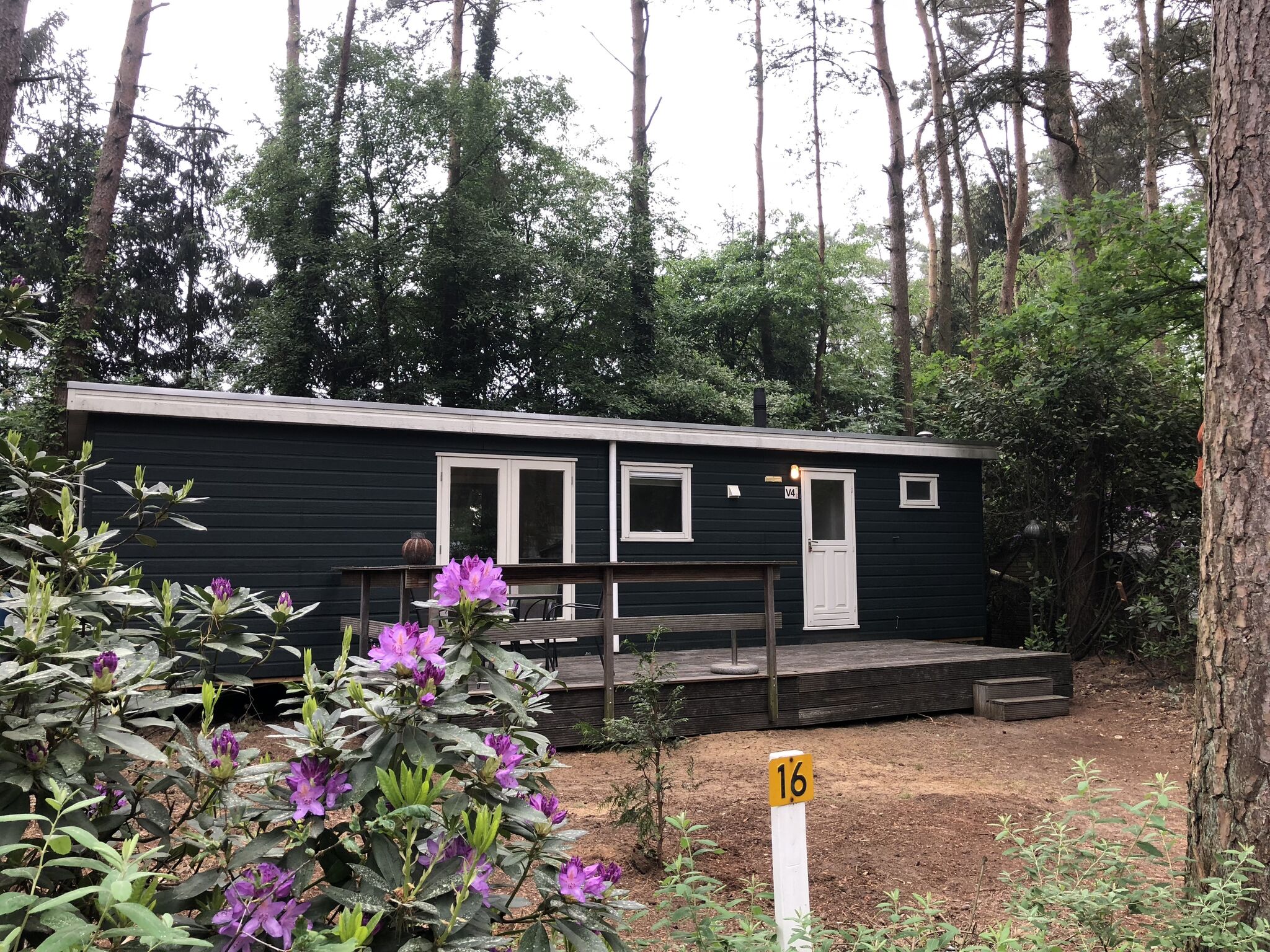 Aanbieding bungalow  🏕️ Chaletpark Siësta