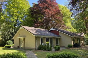 4-persoons bungalow Kastanje