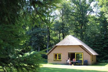 6-persoons bungalow Hattem