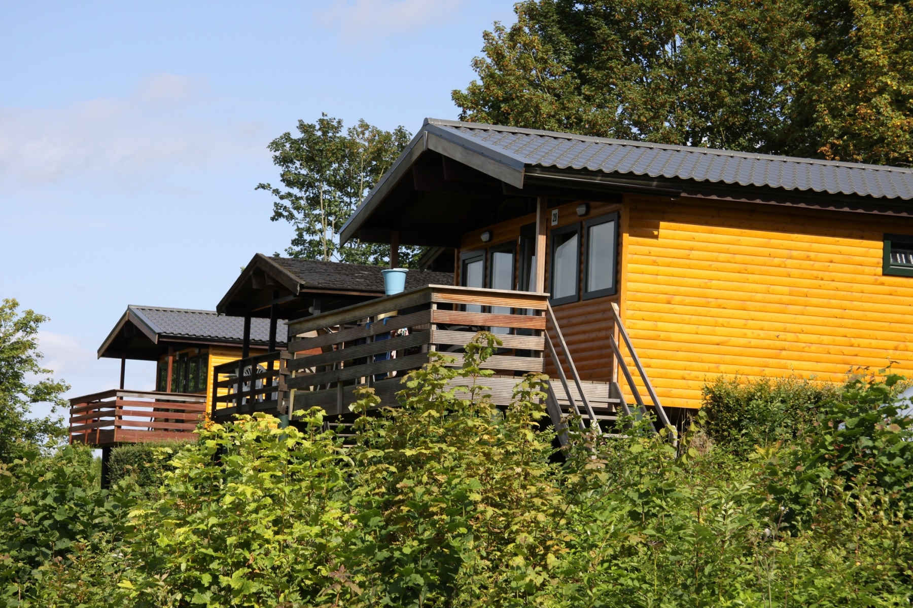 Aanbieding bungalow Belgische Ardennen 🏕️ Vallée Les Etoiles
