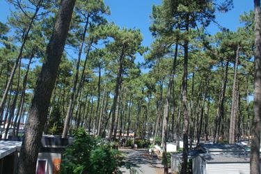 6-Personen Ferienhaus Cozy mobile home with covered terrace on a luxury campsite