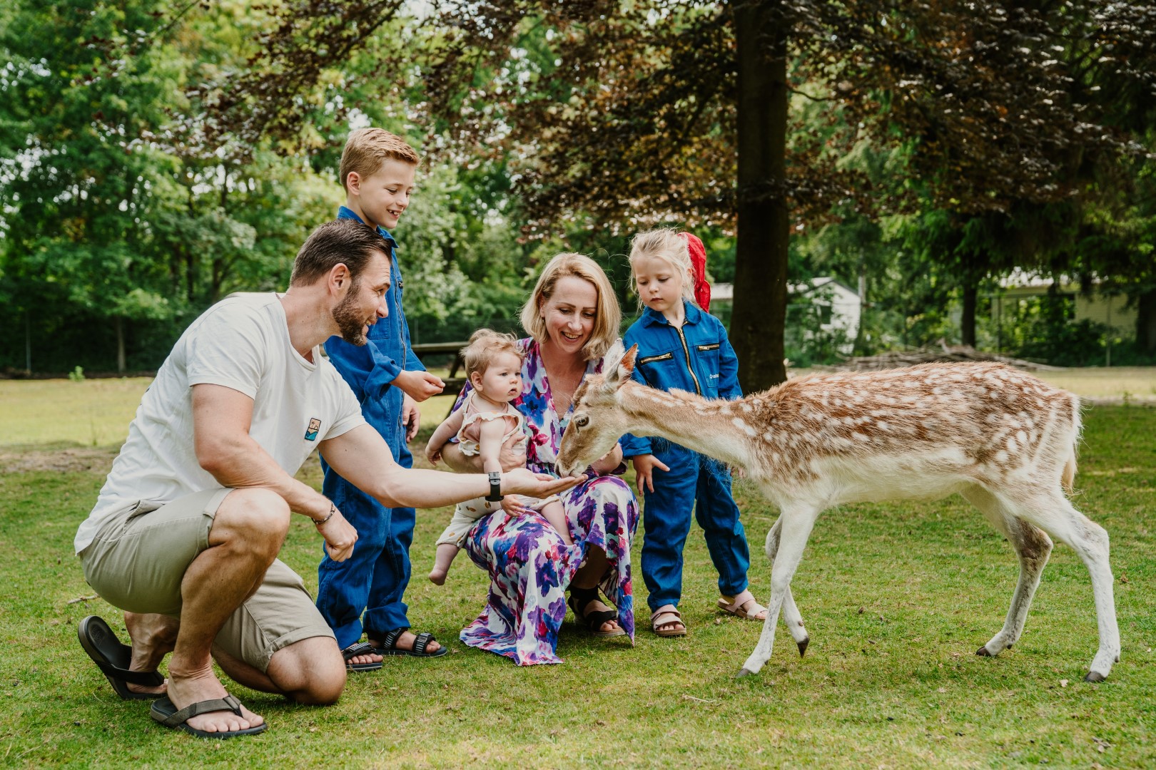 vakantiepark-dierenbos