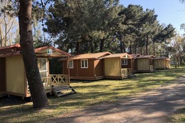 4-Personen Chalet MOREA
