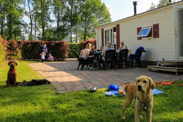 4-person mobile home/caravan Huisdier