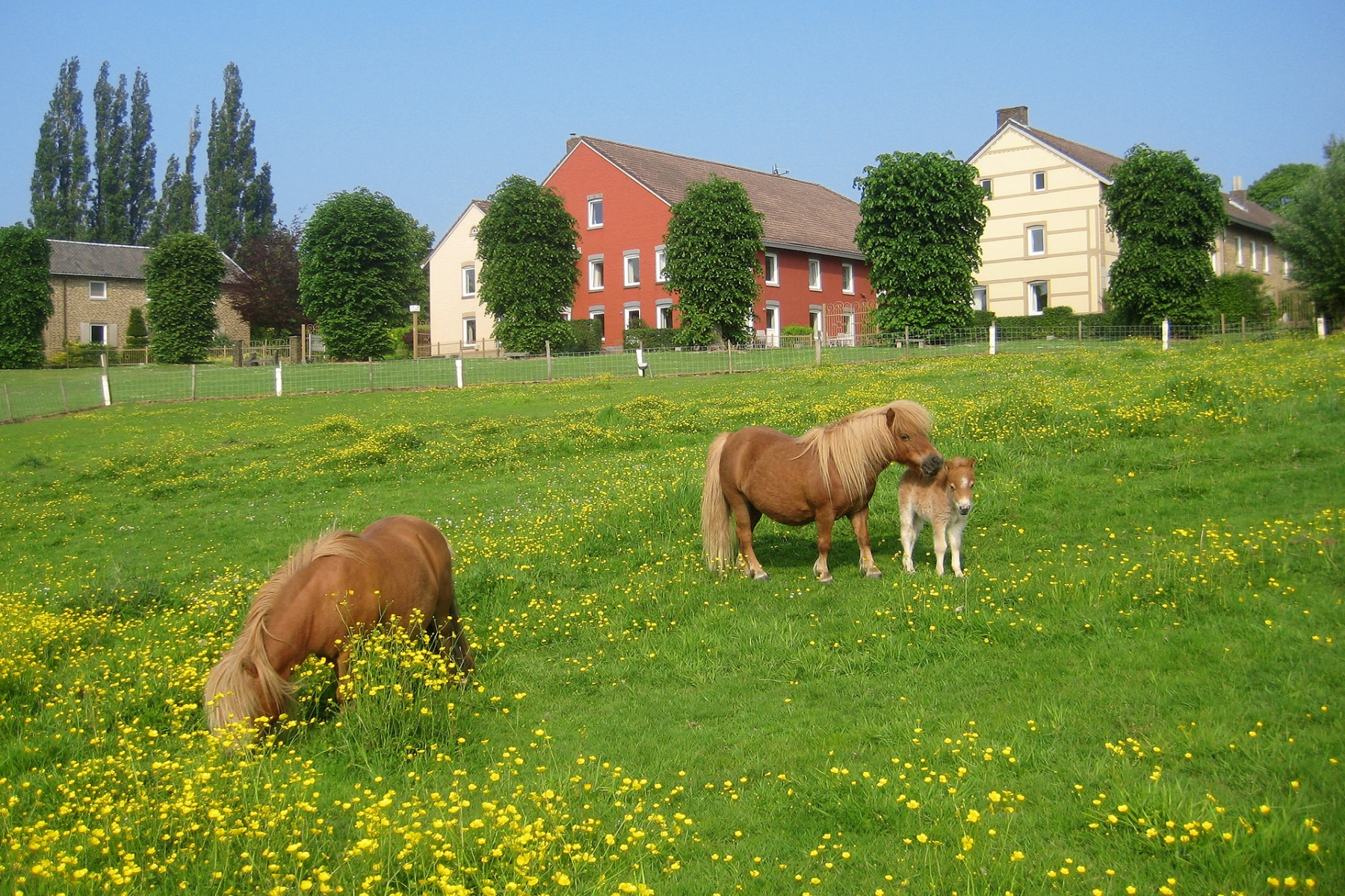 Korting vakantiepark Zuid Limburg 🏕️ Bungalowpark Landsrade