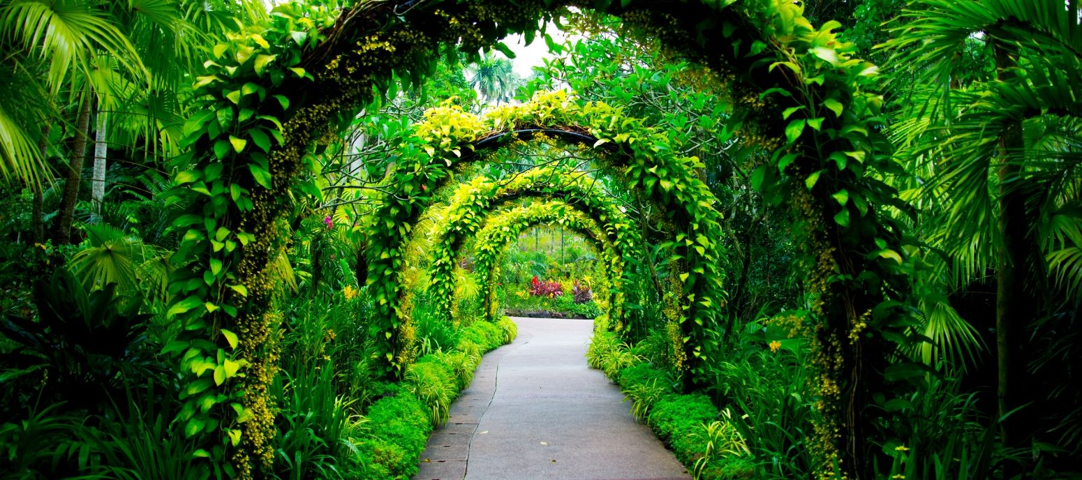 Flora en Botanische Tuin