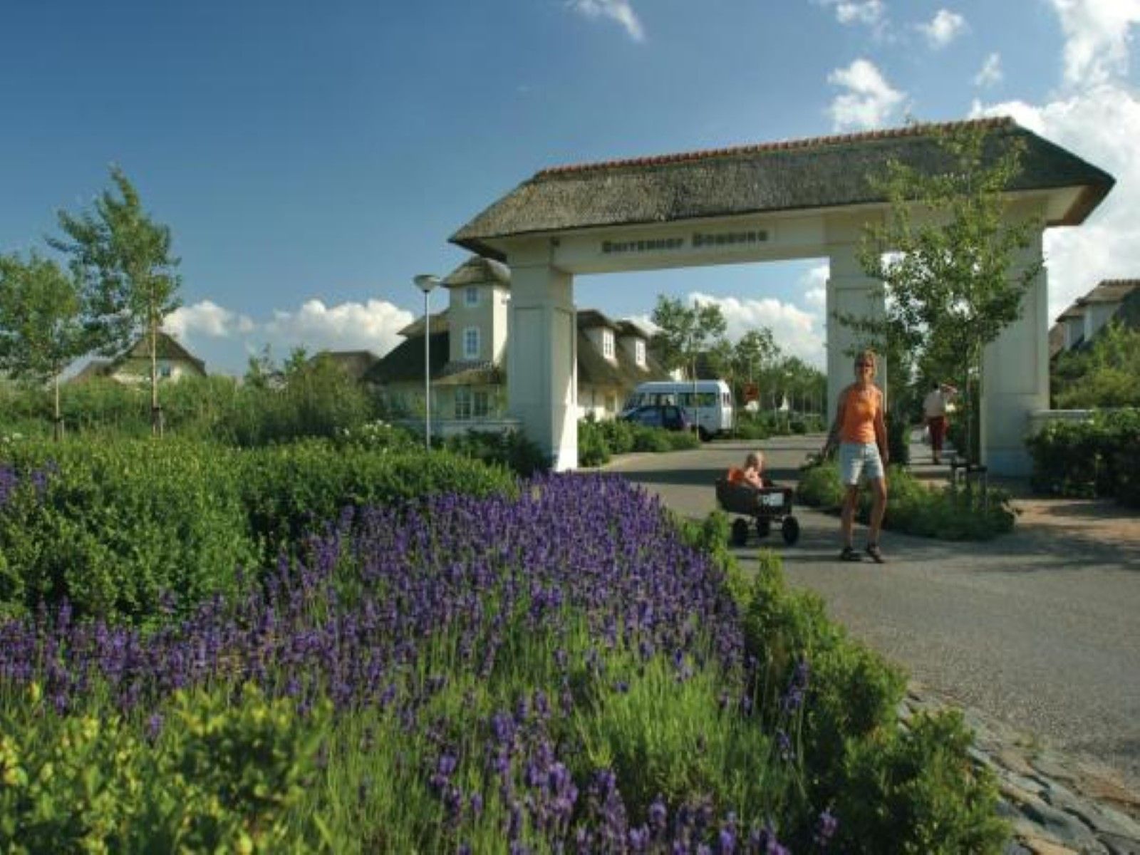 Roompot Buitenhof Domburg In Domburg Die Besten Angebote