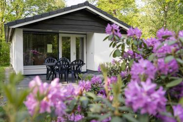 4-person cottage Meidoorn