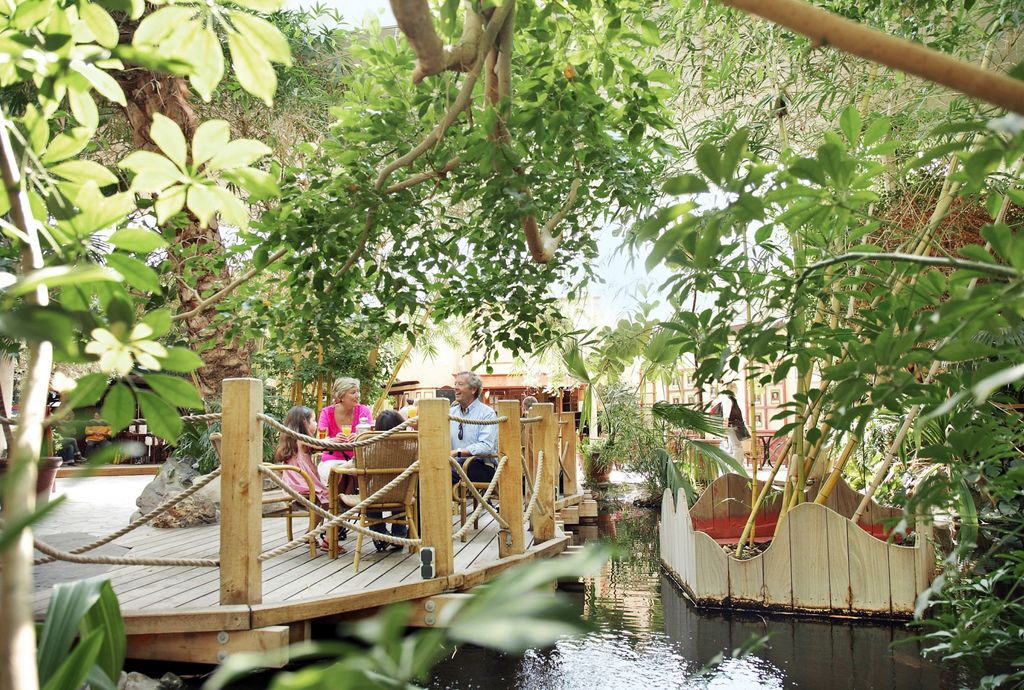 Center Parcs Bispinger Heide in Bispingen de beste promo's! Center Parcs Bispinger Heide in Bispingen de beste promo's!