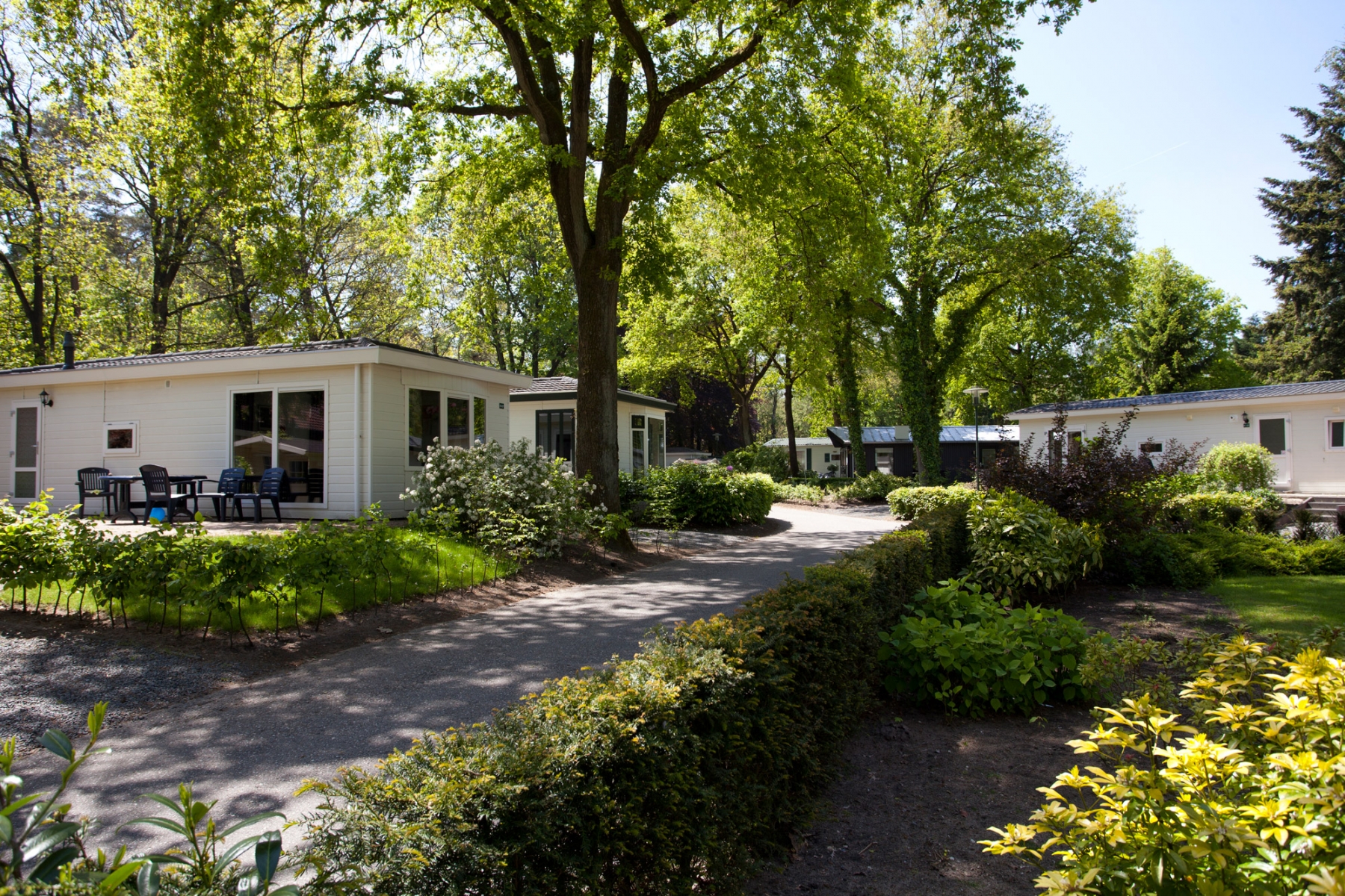 TOP DEAL bungalow Veluwe 🏕️ Droompark Hooge Veluwe