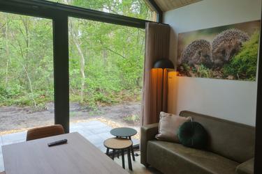 4-personne(s) Tiny house
