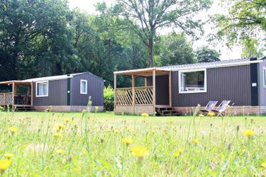 4-persoons Chalet Koolmees