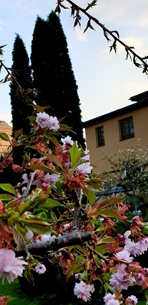 Hotel Via Roma