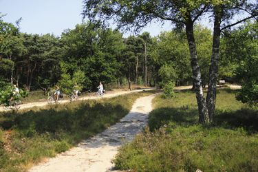 Vakantiepark De Lindenberg - SURROUNDING