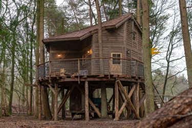 6-persoons bungalow Boomhut