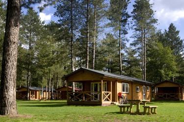 4-persoons Chalet 4B1