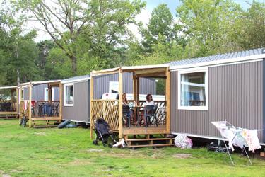 4-Personen Chalet Koolmees