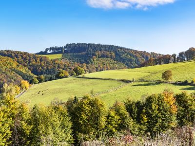 Sauerland