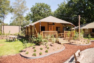 6-person Safari tent