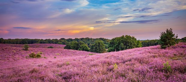 Wat te doen in Nederland