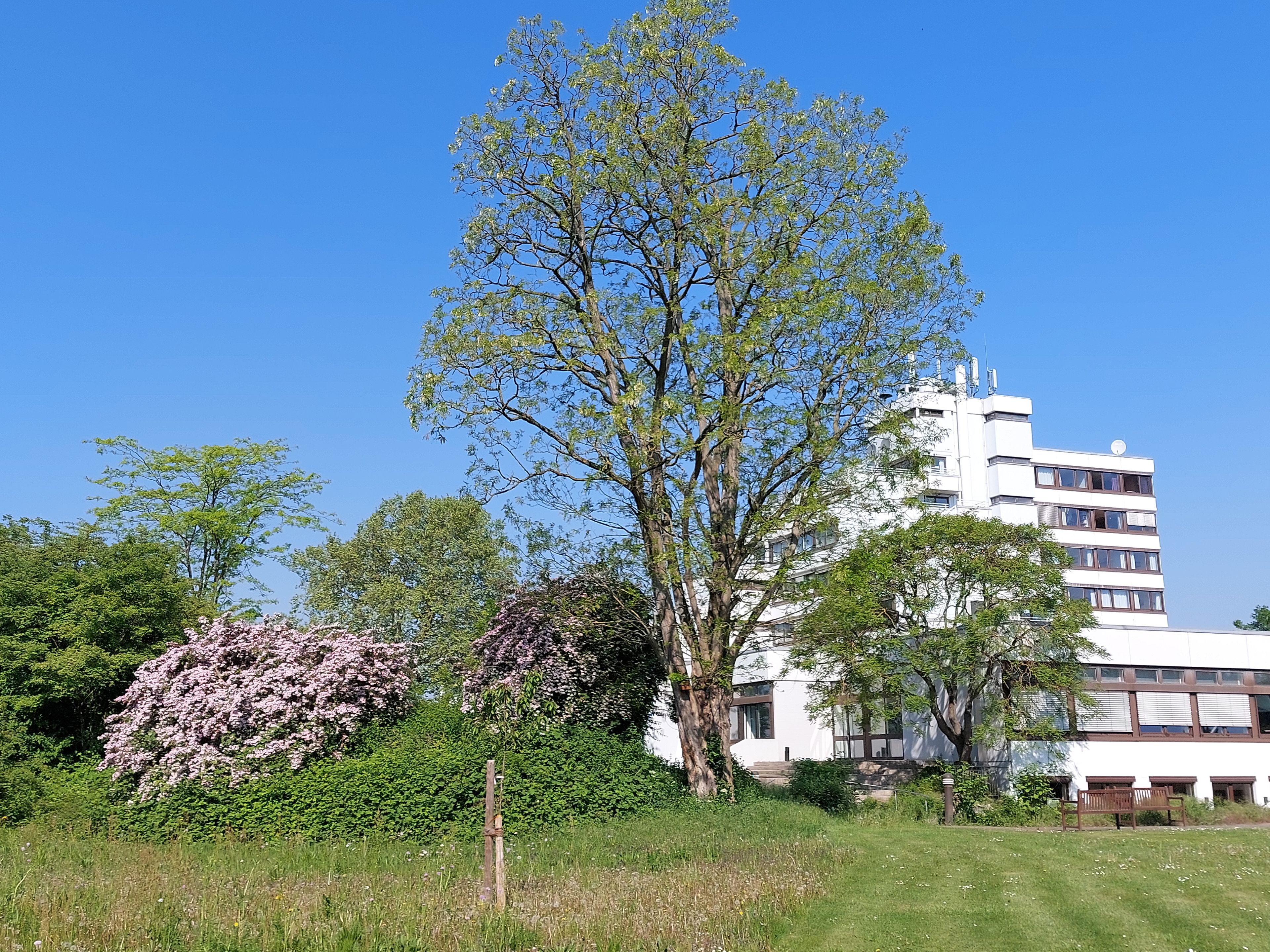 Heinrich Pesch Hotel