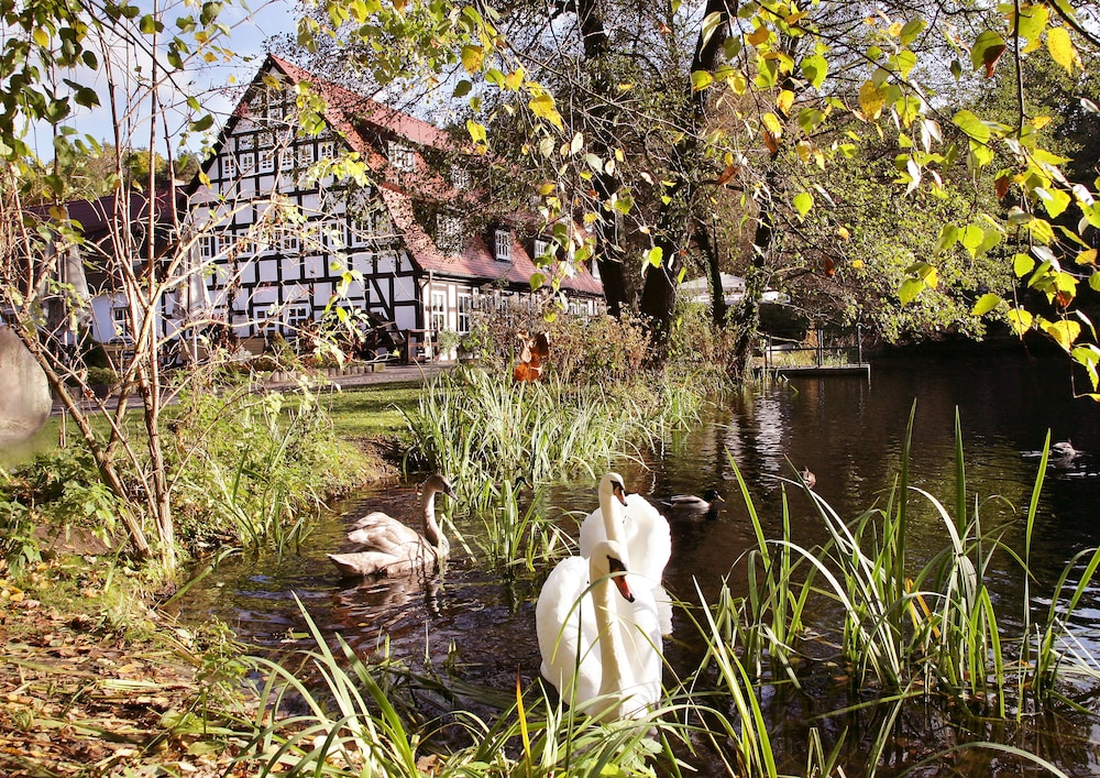 Springbach-Mühle Belzig