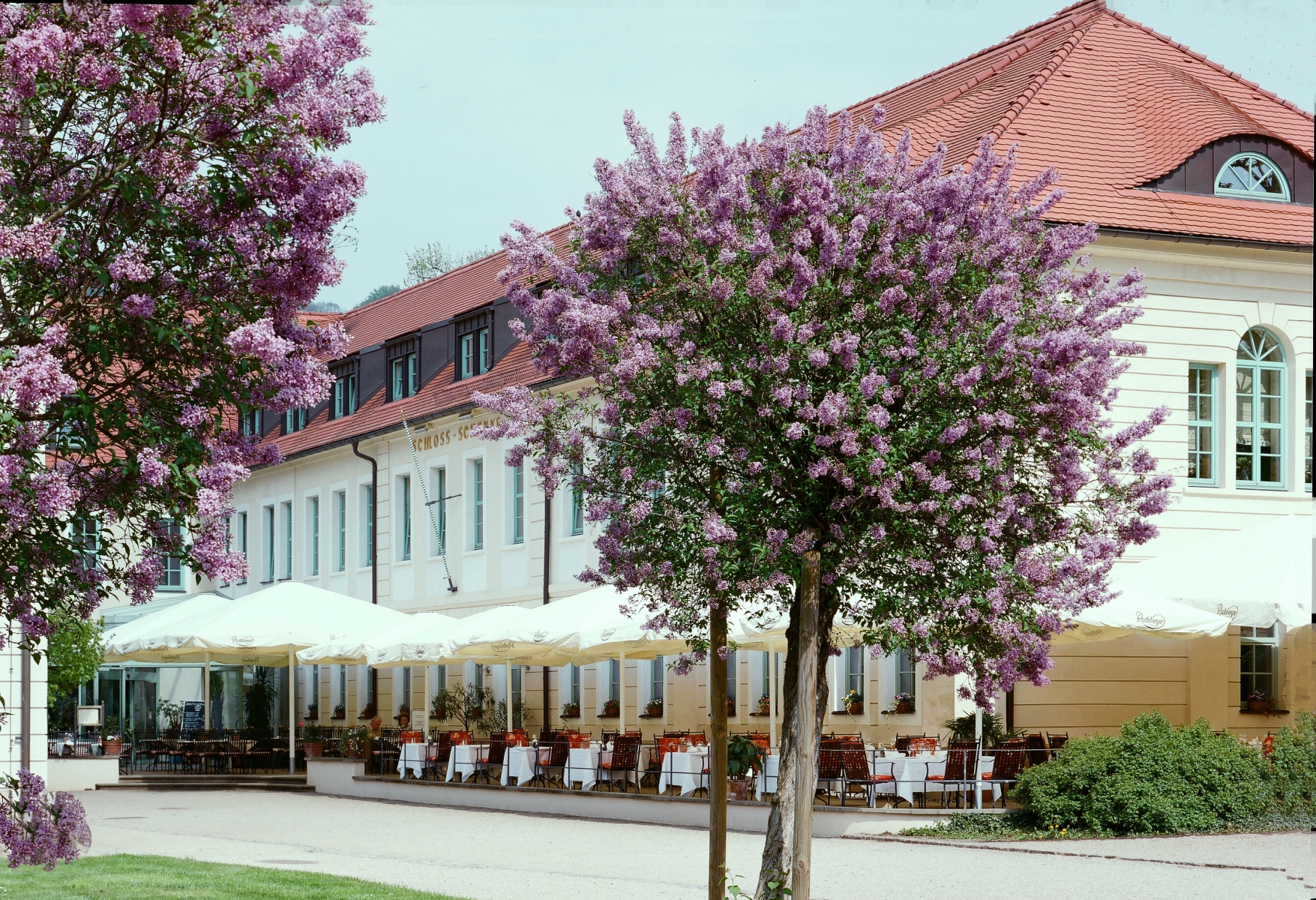 Schloss Hotel Dresden Pillnitz <br/>138.00 ew <br/> <a href='http://vakantieoplossing.nl/outpage/?id=ffe7d670ff8d1515b9e794e6a452184a' target='_blank'>View Details</a>