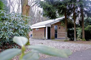 4-persoons bungalow De Bosduif