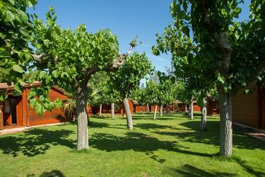 5-persoons bungalow GREGAL (max 4 adults)