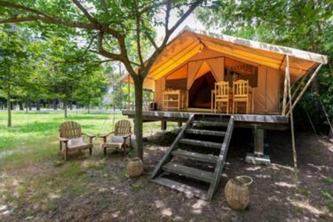 4-persoons Safaritent Ecolodge
