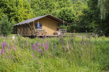 6-person Safari tent Belle vue