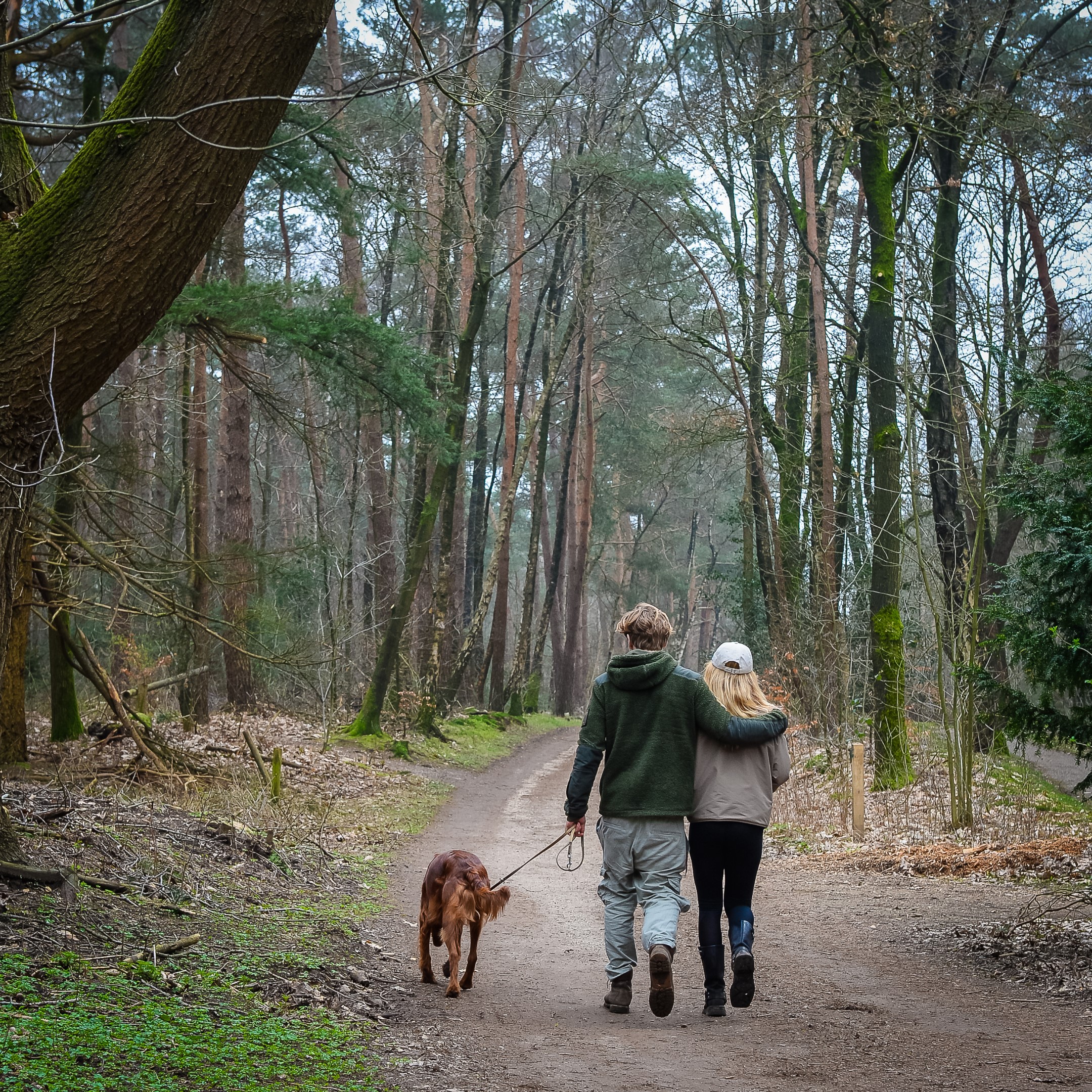 buitenplaats-holten