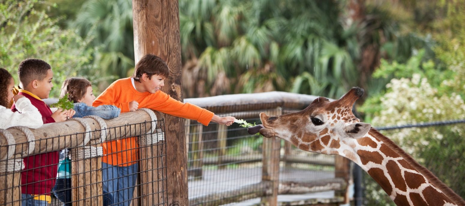 Toegangsbewijs Dierentuin en Aquarium