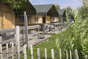 5-person Safari tent 5K