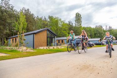 4-persoons Chalet Velthorst