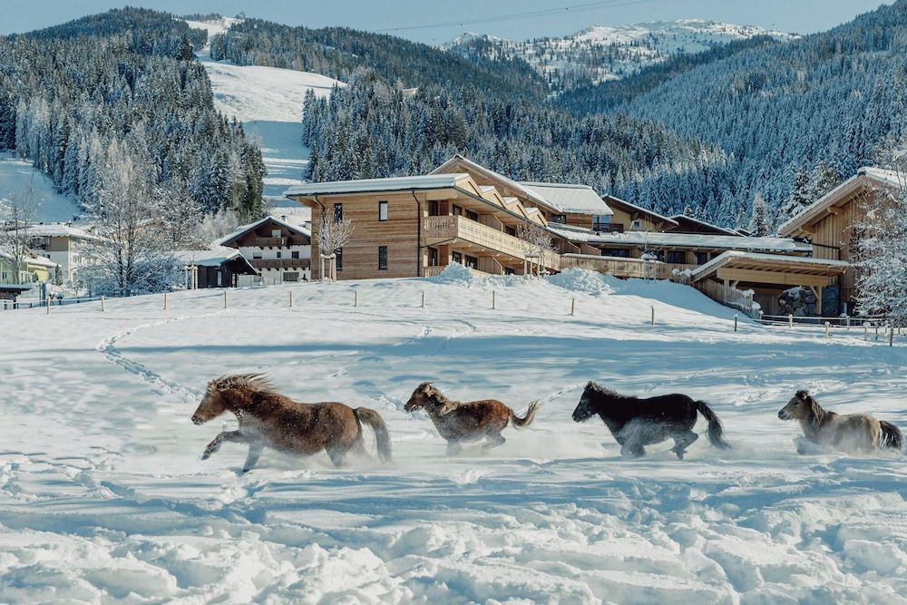 Mariengut - Aparthotel Kramer.