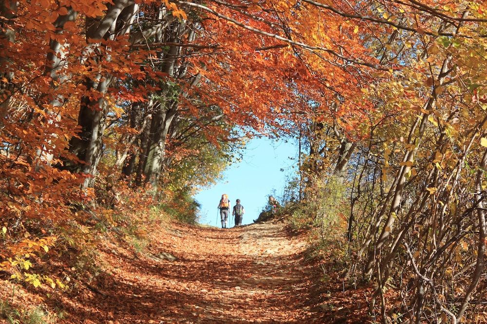 Hotel NAT Piwniczna Zdrój.
