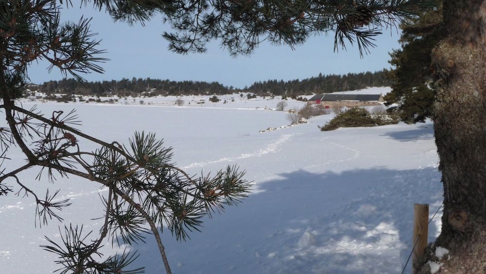 Instants d'Absolu Ecolodge & Spa.