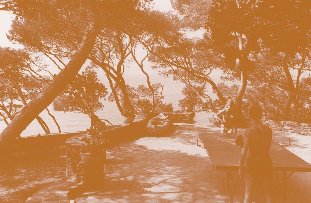 La Résidence Le Provençal.