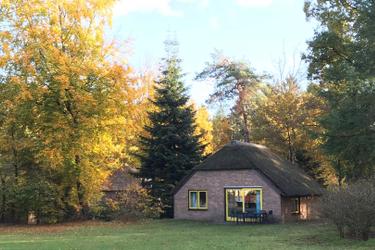 6-persoons bungalow Veluwe